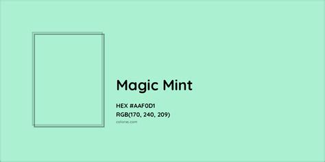 Unlocking Your True Potential with Mint Indigo Magic